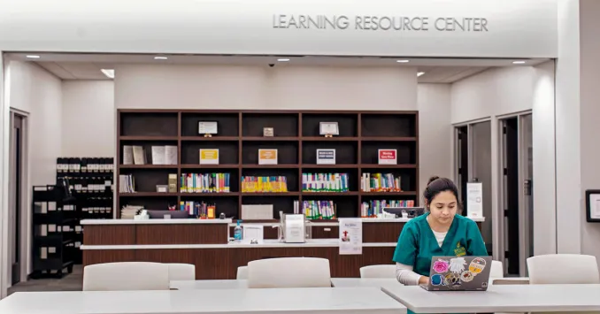 baylor absn nurse studying